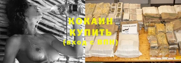 СК Каменногорск