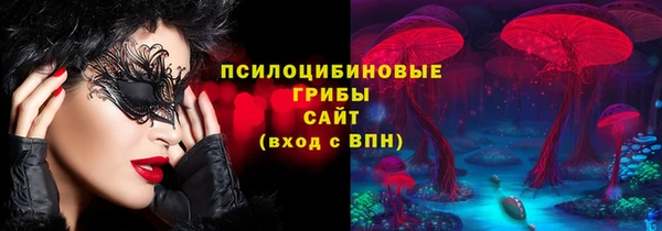 СК Каменногорск
